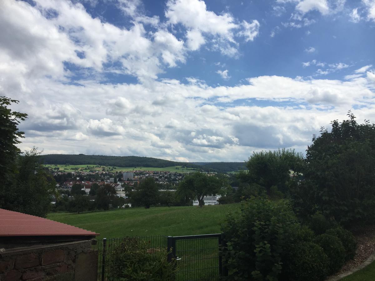 Ferienwohnung Am Galgenberg 미헬슈타트 외부 사진